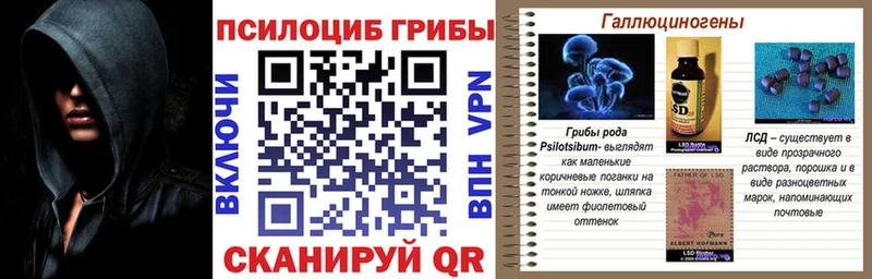 Псилоцибиновые грибы мухоморы Сыктывкар