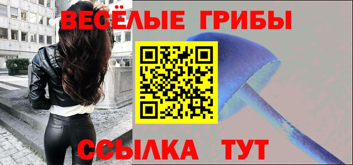 Псилоцибиновые грибы прущие грибы Сыктывкар