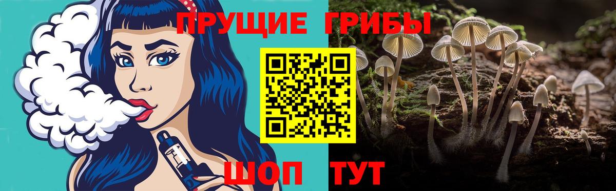 Галлюциногенные грибы мицелий  Псилоцибиновые грибы MAGIC MUSHROOMS  Сыктывкар  Вход с VPN 
