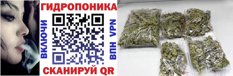 блэк спрут tor  Сыктывкар  Бошки марихуана тримм 